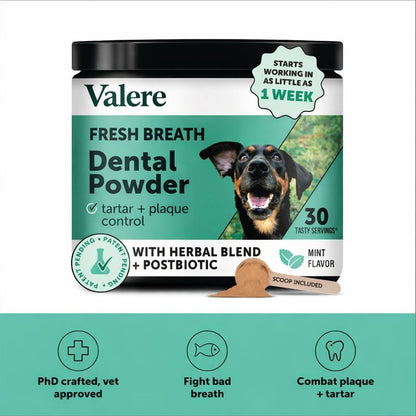 Pet Dental Powder
