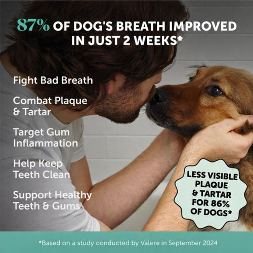 Pet Dental Powder