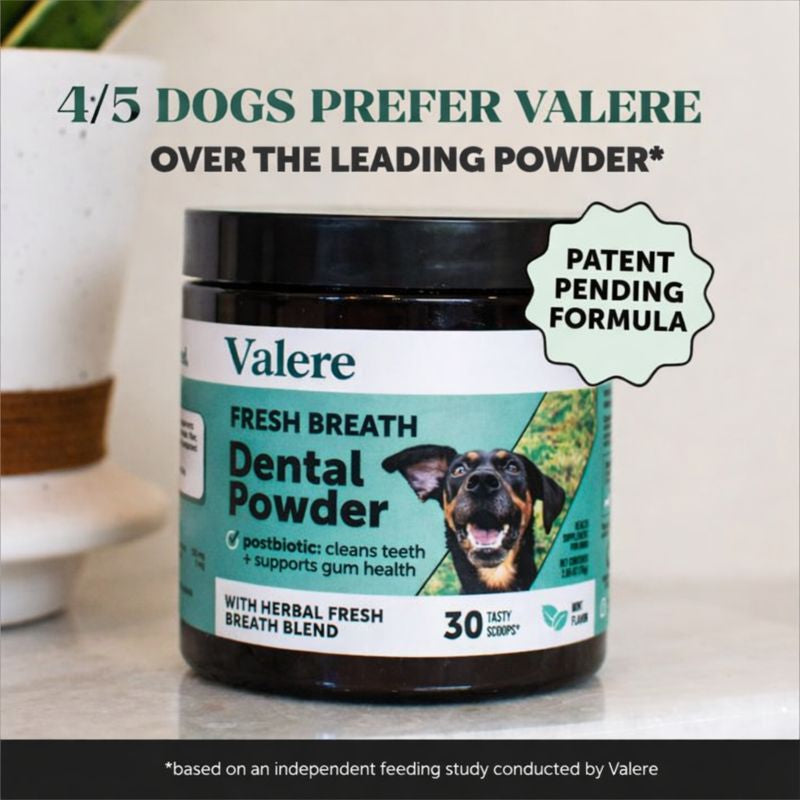 Pet Dental Powder