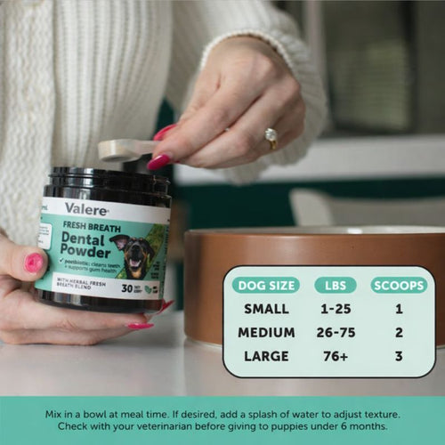 Pet Dental Powder
