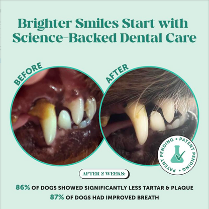 Pet Dental Powder